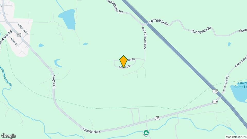 319 Arbor Cir Mapa y Detalles de la Ubicación