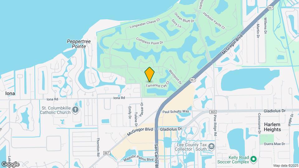 15054 Tamarind Cay Ct Map and Location Details