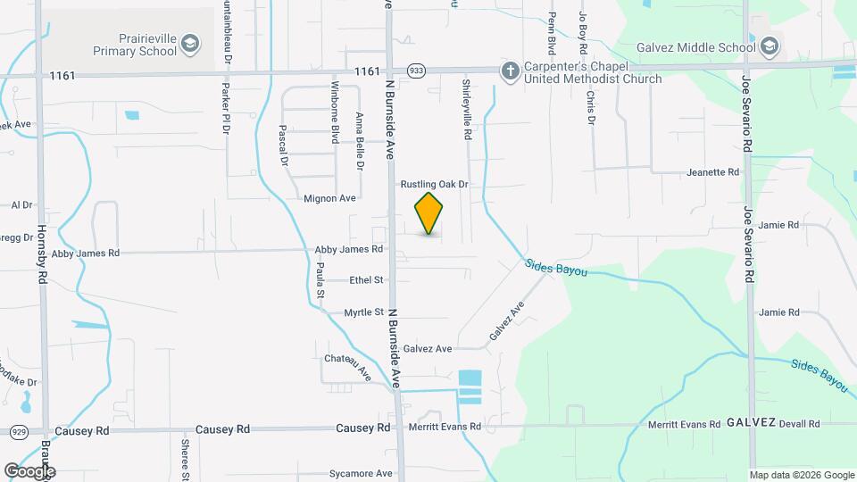 41053 Galvez Trails Blvd Mapa y Detalles de la Ubicación