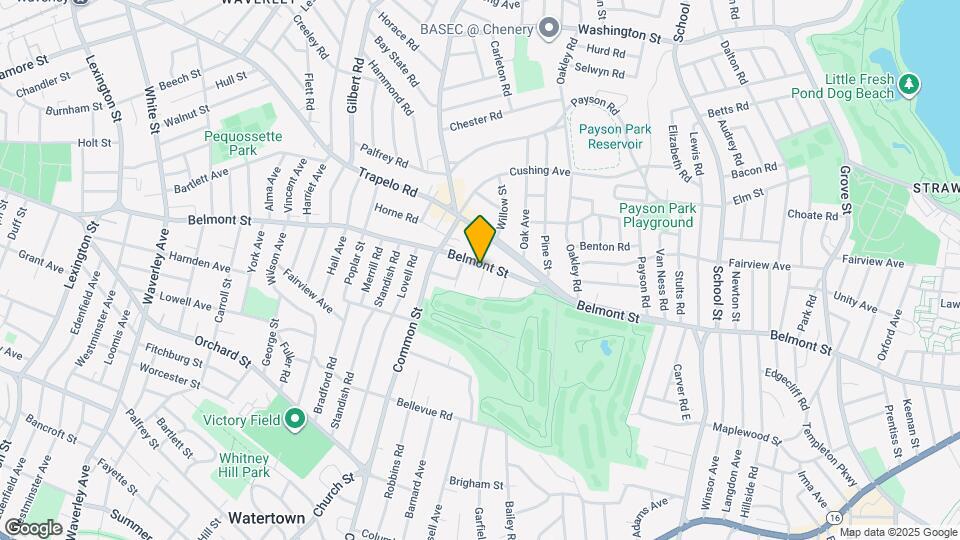 508 Belmont St, Unit 38 Mapa y Detalles de la Ubicación