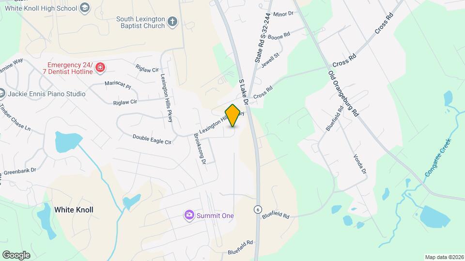 181 Youpon Dr Mapa y Detalles de la Ubicación