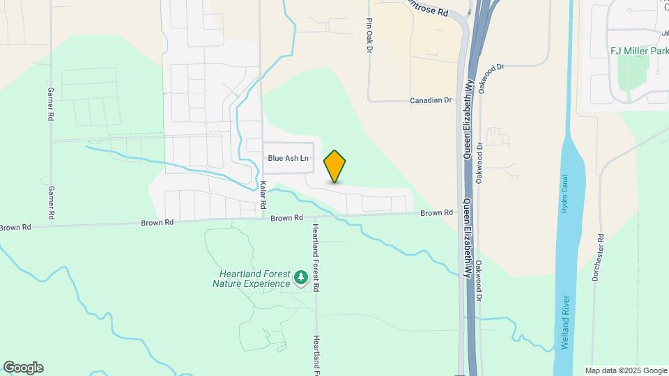 7897 Hackberry Trl Map and Location Details