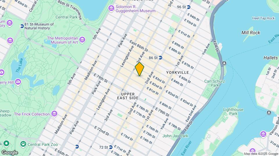 222 E 82nd St Map and Location Details
