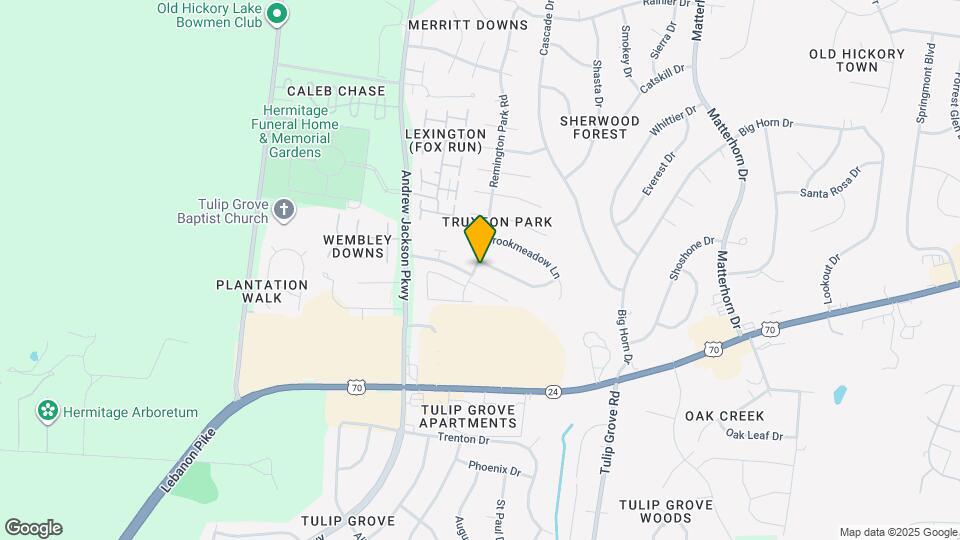 1700 Stone Hollow Ct Mapa y Detalles de la Ubicación