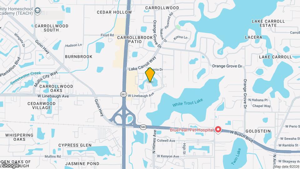 10354 Carrollwood Ln Map and Location Details