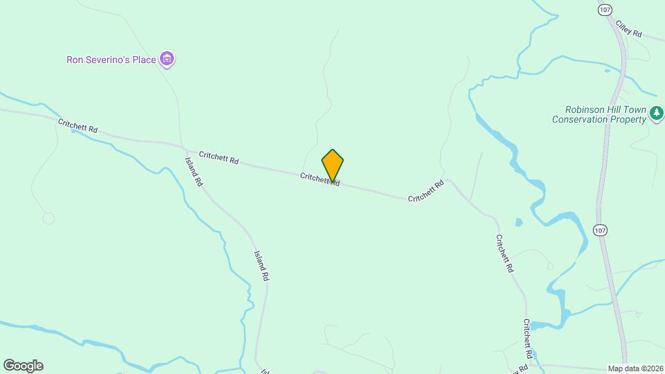 395 Critchett Rd Map and Location Details