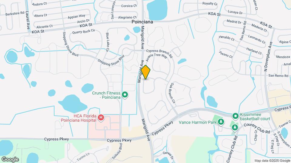 467 Tamarind Parke Ln Mapa y Detalles de la Ubicación