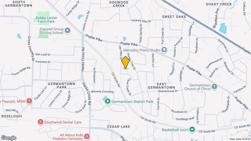 2905 Mossy Creek Cove Map and Location Details