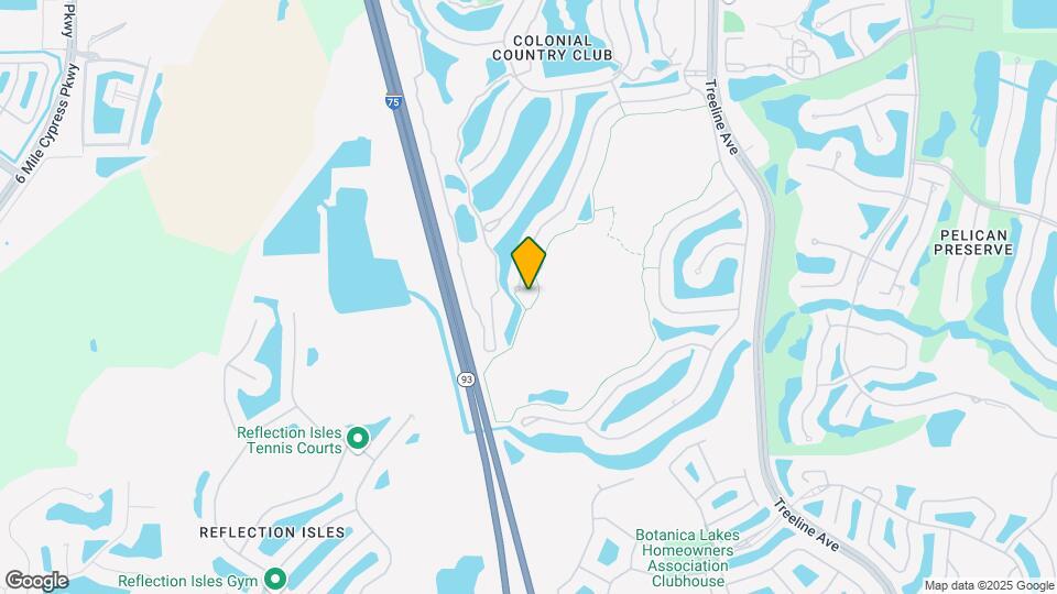 9667 Hemingway Ln Mapa y Detalles de la Ubicación