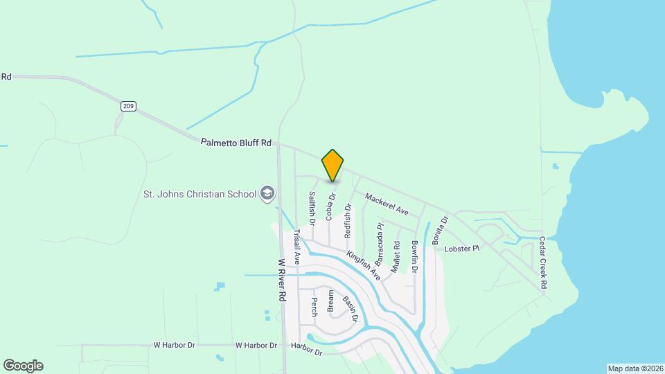 117 Bass Ln Map and Location Details