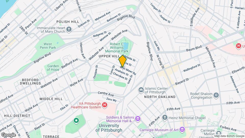 3217-3219 Camp St Mapa y Detalles de la Ubicación