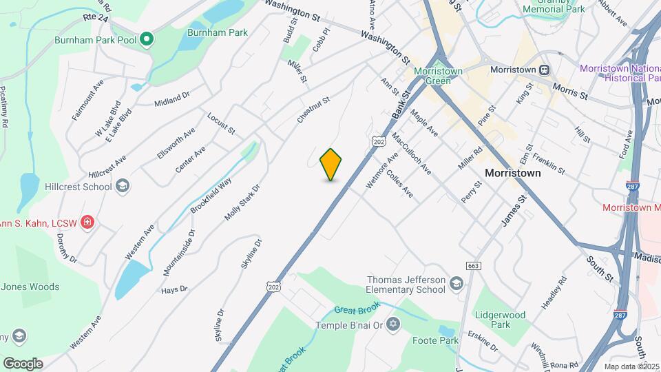 61 Mt Kemble Ave Map and Location Details