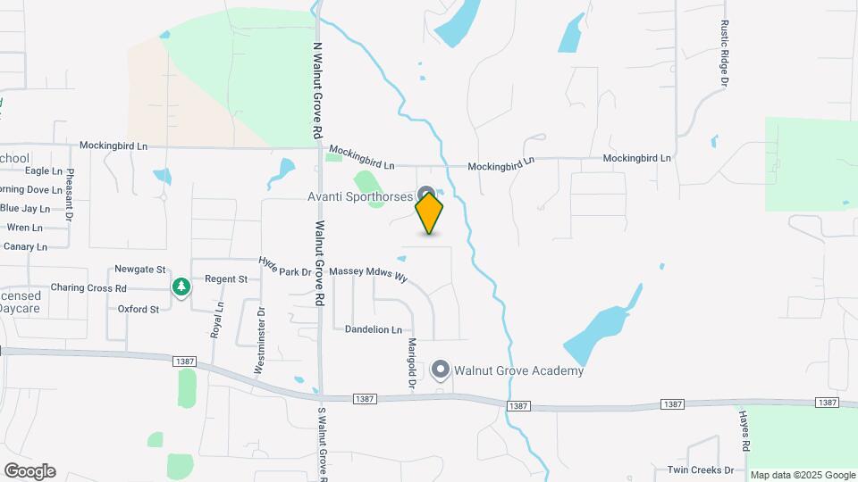 4429 Verbena St Map and Location Details