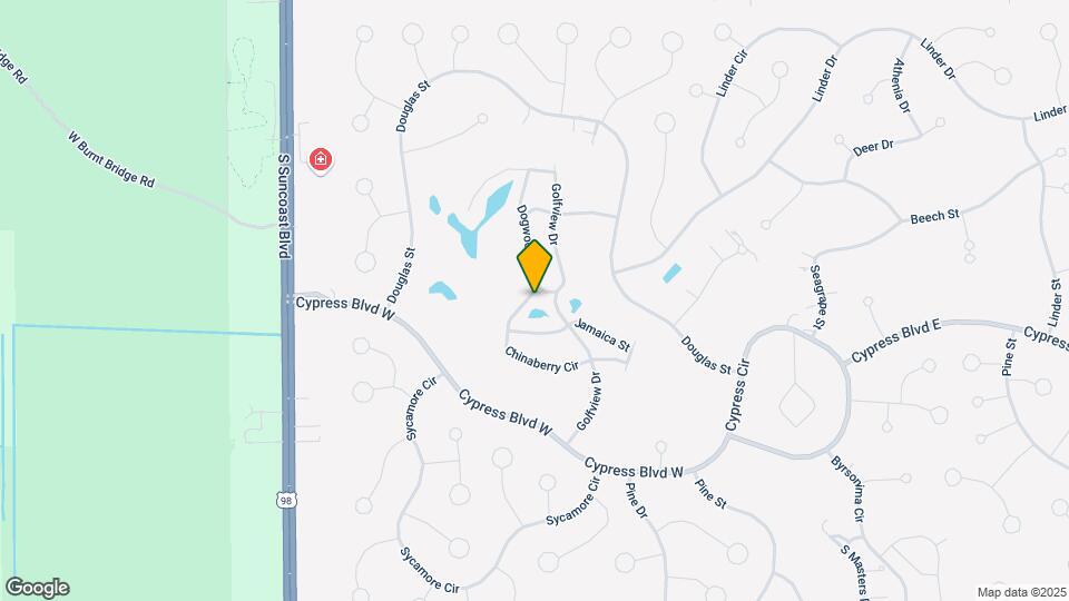 100 Chinaberry Cir Map and Location Details