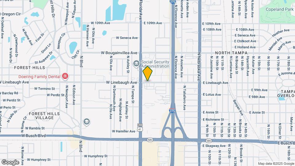 111 E Linebaugh Ave. Map and Location Details
