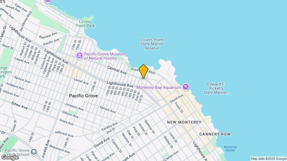 225 Central Ave Mapa y Detalles de la Ubicación