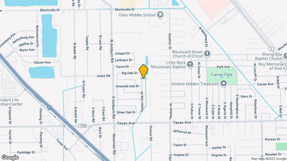 110 N Golden Oak Dr Map and Location Details