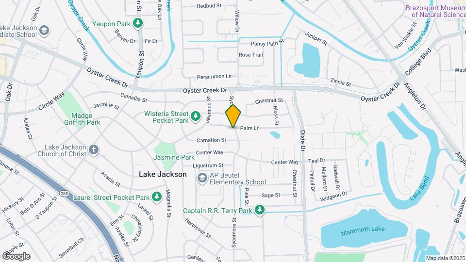 124 Palm Ln Map and Location Details