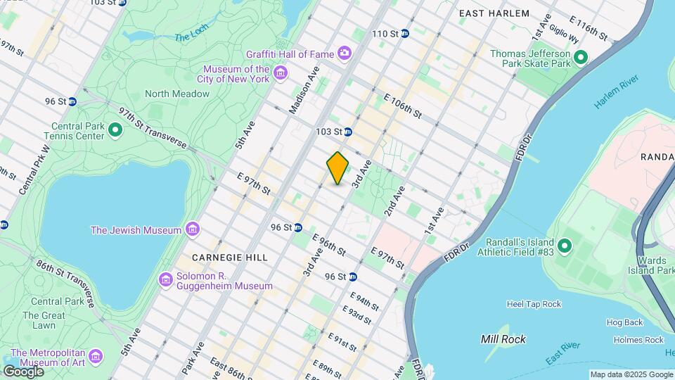 167 E 99th St Mapa y Detalles de la Ubicación