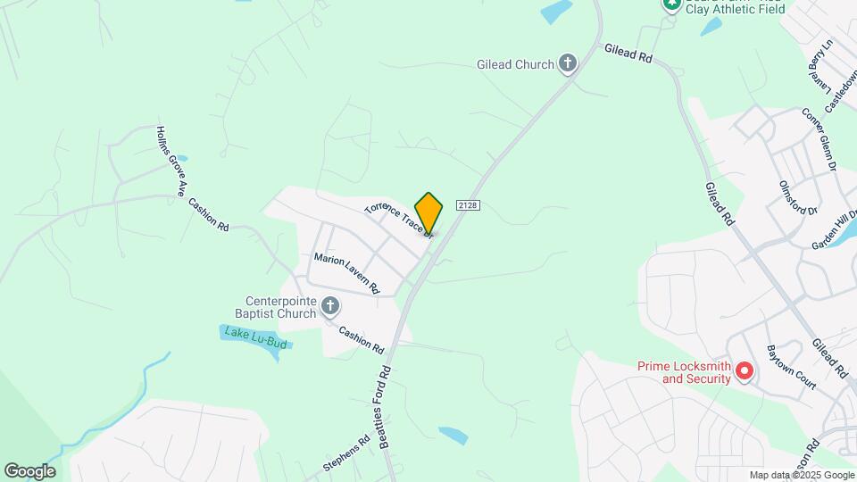 14523 Rhiannon Ln Map and Location Details