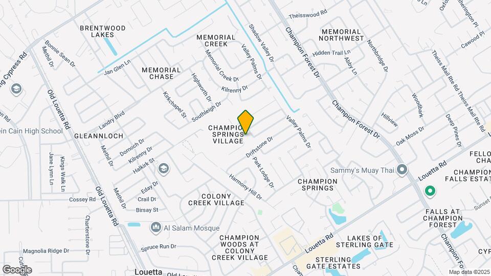 17314 Megan Springs Dr Map and Location Details