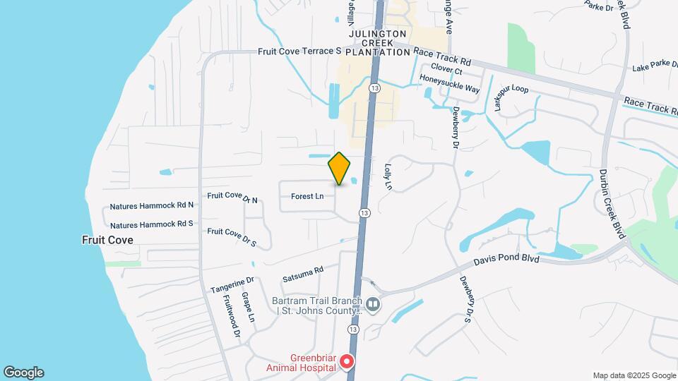 691 Fruit Cove Forest Rd E Mapa y Detalles de la Ubicación