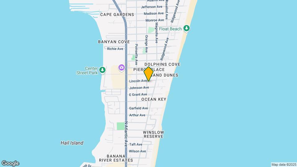 303 Lincoln Ave Mapa y Detalles de la Ubicación