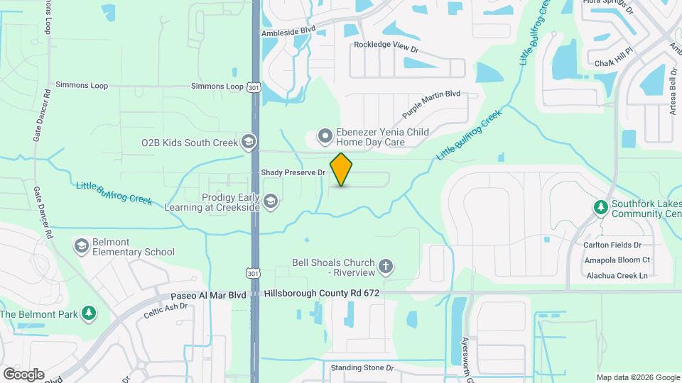 10742 Shady Preserve Dr Mapa y Detalles de la Ubicación