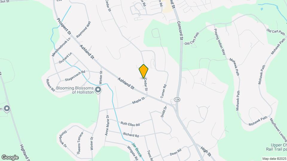 38 Cedar St, Unit 1 Map and Location Details