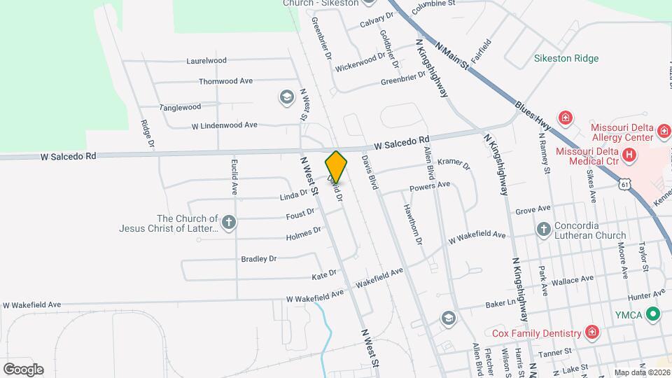 111 David Dr Map and Location Details