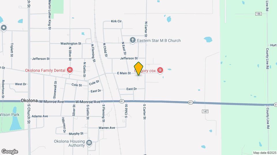 102 Pecan Ln Map and Location Details