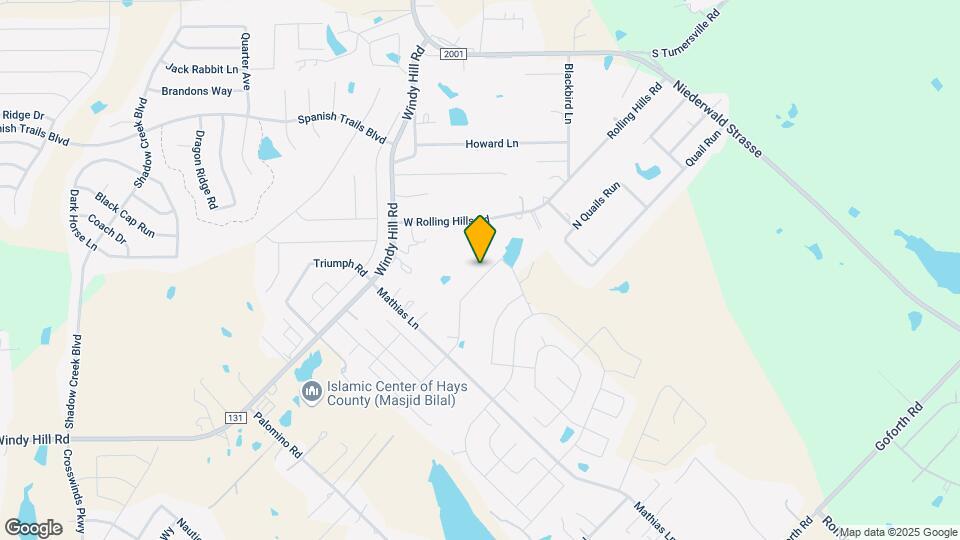 343 Carolina Buckthorn Dr Map and Location Details