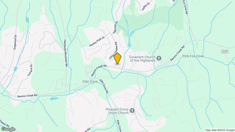 452 Reems Creek Rd Map and Location Details