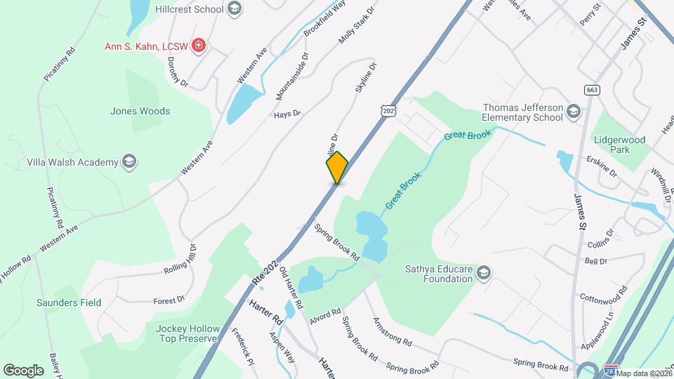 196 Mt Kemble Ave Map and Location Details