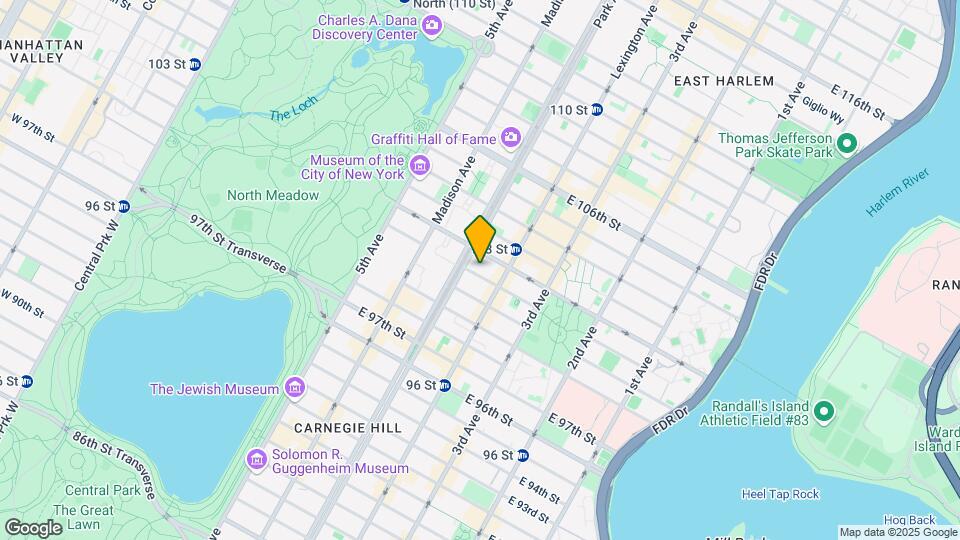 119 E 101st St Map and Location Details