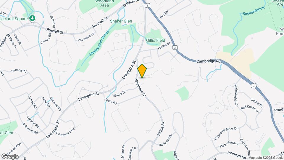 32 Waltham St Map and Location Details