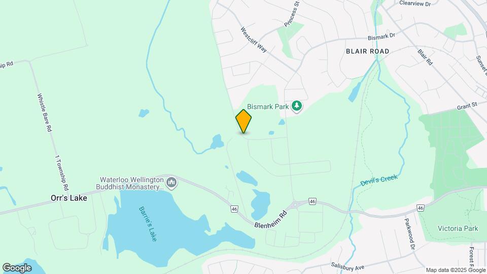 250 Newman Dr Map and Location Details