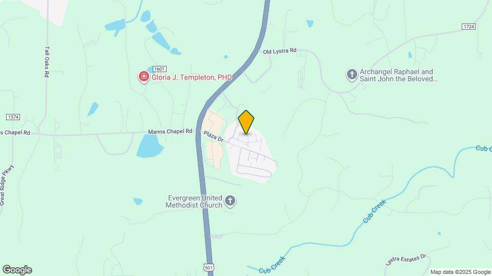 245 Plaza Dr Mapa y Detalles de la Ubicación