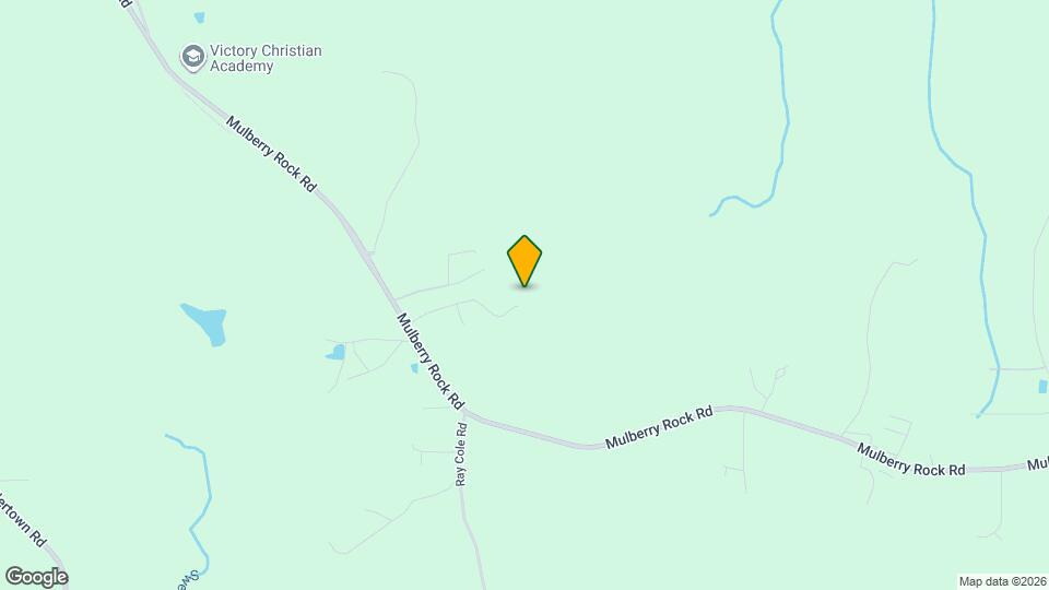 277 Mulberry Dr Mapa y Detalles de la Ubicación