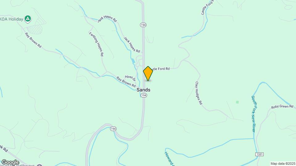 196 Clyde Williams Dr Map and Location Details