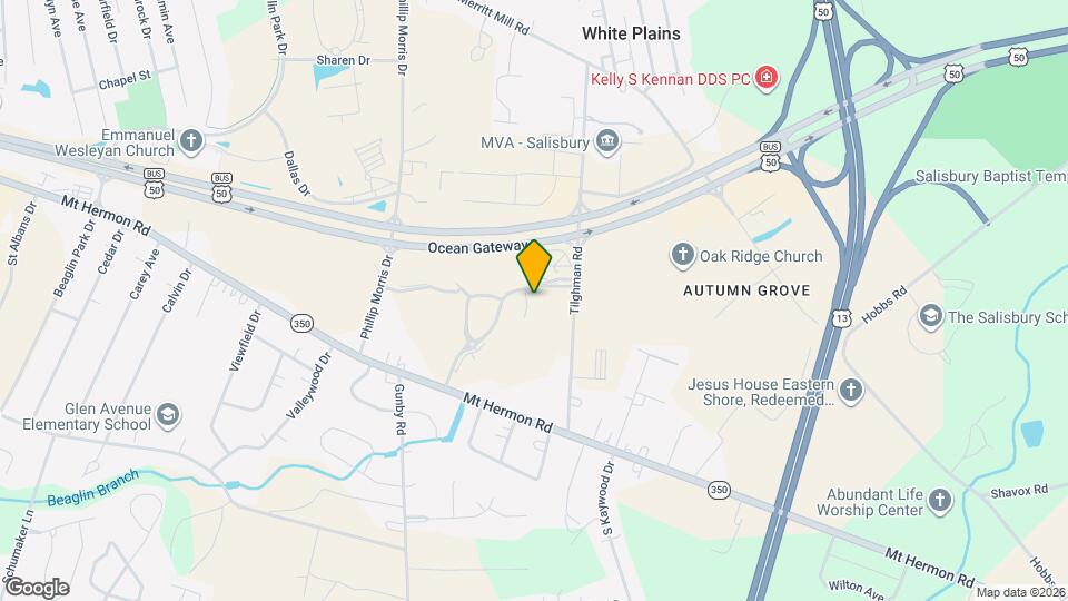 309 Jo Anns Way Map and Location Details