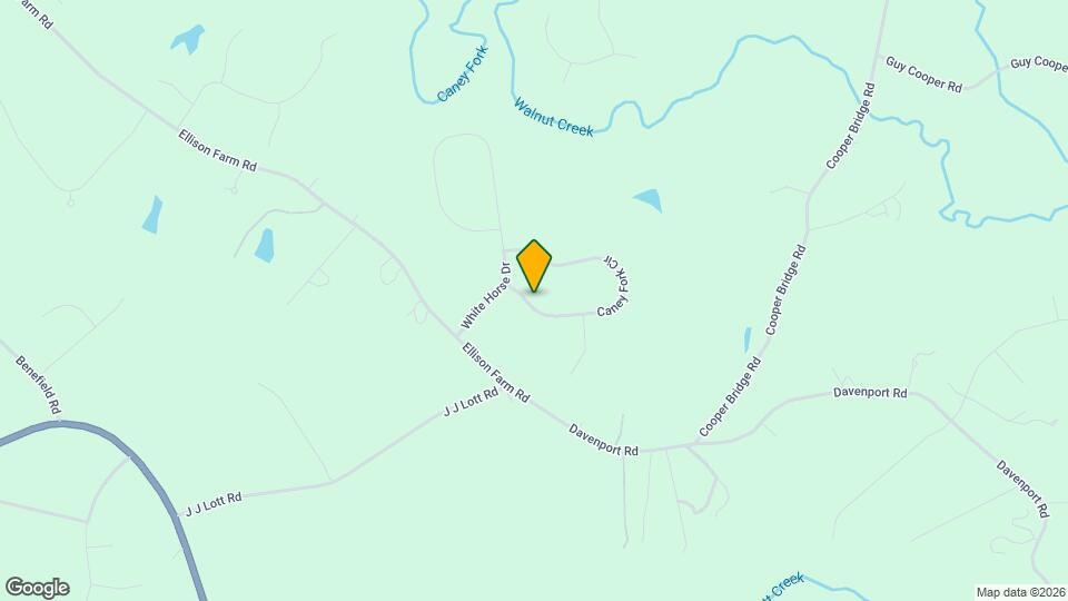 4317 Caney Fork Cir Mapa y Detalles de la Ubicación