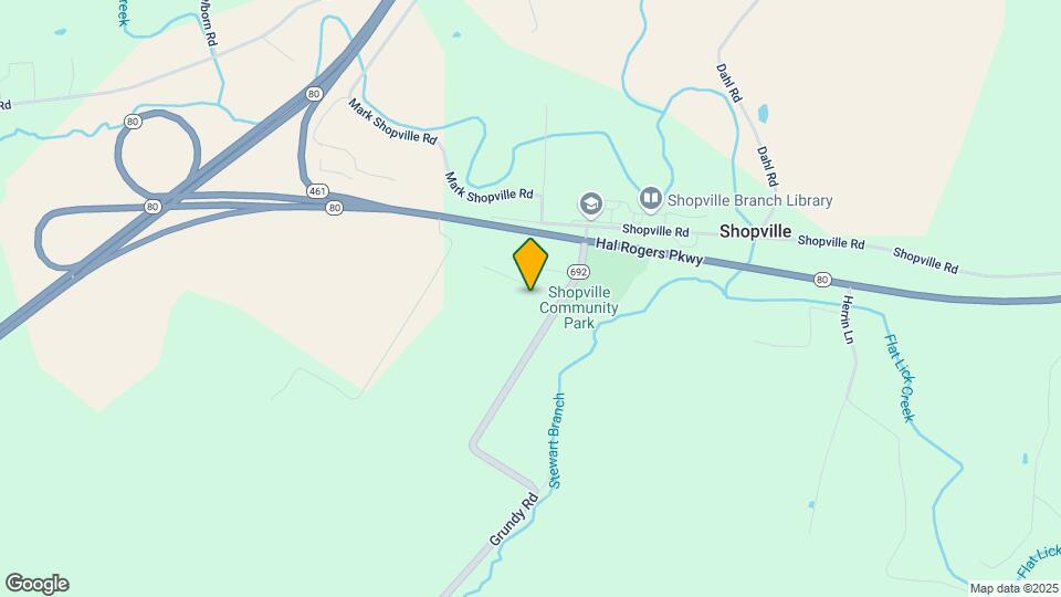 203 Grundy Meadows Dr Mapa y Detalles de la Ubicación