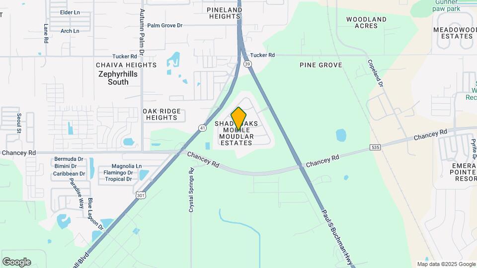 3250 Forrest Plum Ct Map and Location Details