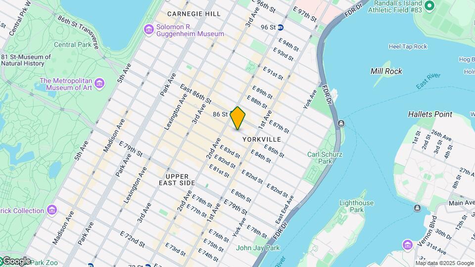 324 E 85th St Mapa y Detalles de la Ubicación