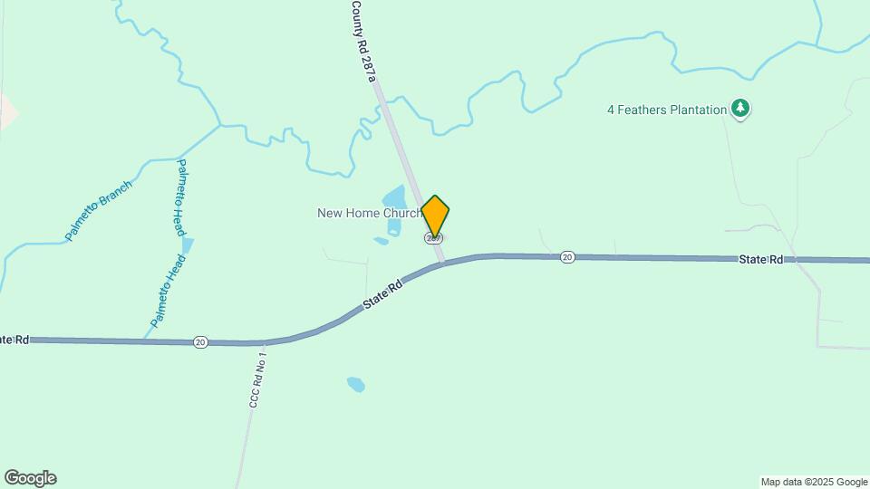 10459 CR 287 Mapa y Detalles de la Ubicación