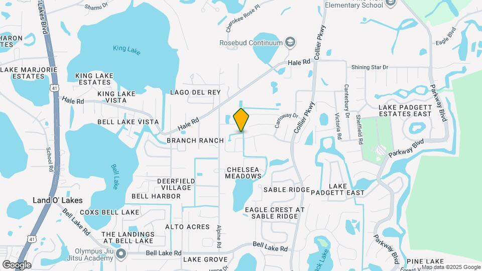 22611 Roderick Dr Mapa y Detalles de la Ubicación