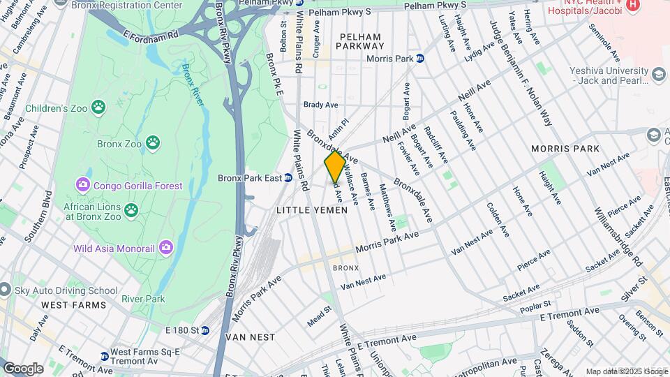 1921 Holland Ave Mapa y Detalles de la Ubicación