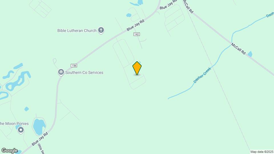 113 Big Cypress Ct Map and Location Details