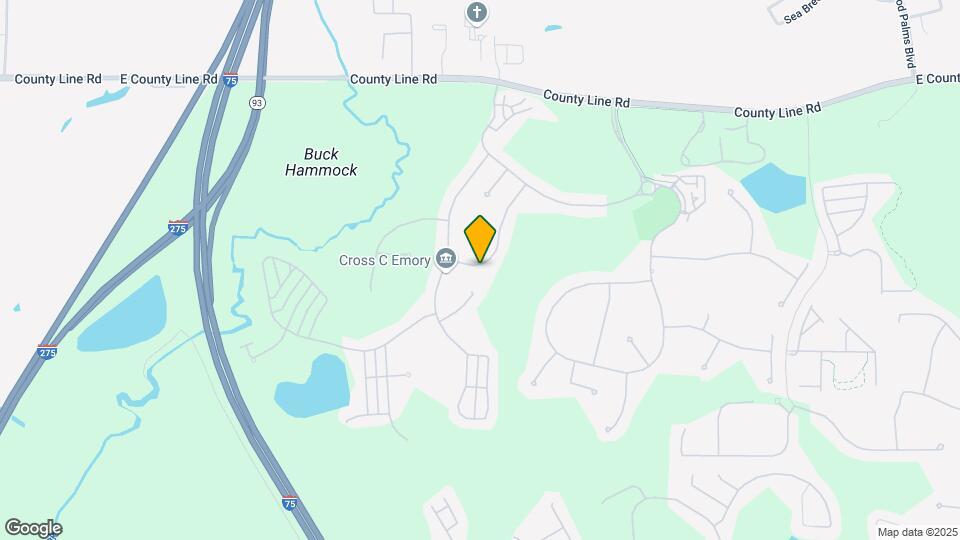 20317 Chestnut Grove Dr Map and Location Details